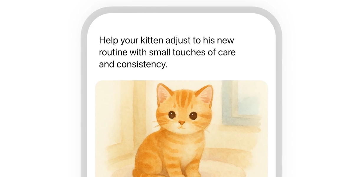 ChatGPT Pulse ChatGPT Pulse